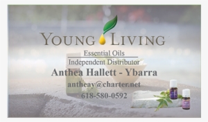 Young Living Business Card Template Oils Pinterest - Young Living Business Card Example