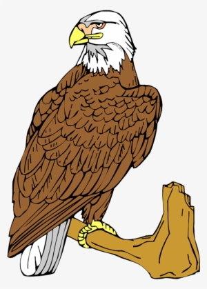 Bald Eagle Clipart - Bald Eagle