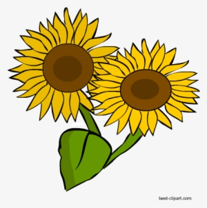 Two Sunflowers, Png Clip Art Image - Sunflower