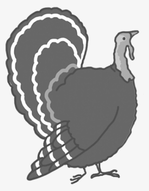 Drawn Turkey Clipart - Thanksgiving