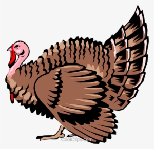 Free Download At Getdrawings Com Free For Personal - Turkey Farmer Clipart