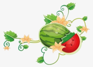 Common Vine Wine Cartoon Transprent Png Free - Watermelon On Vine Clipart