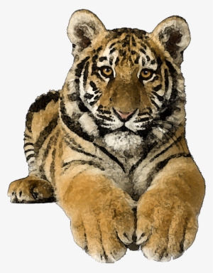 Tiger Clipart - Tiger Pics Art Png