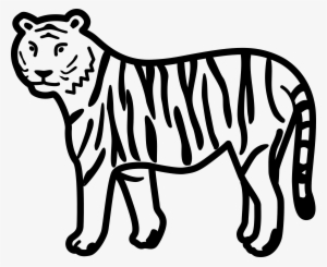 How To Draw Tiger Easily In 5 Steps For Beginners  The Soft Roots