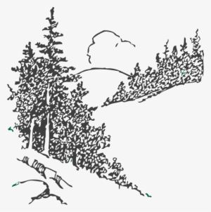 Pine Trees Clip Art At - Pine Tree Sketch Png