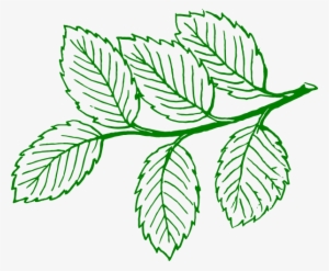 Ash Leaf Clip Art At Clker - Leaves Clip Art