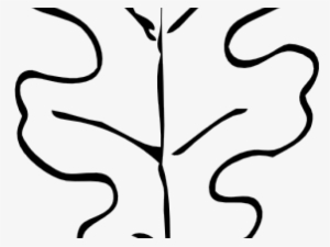 Oak Leaf Outline - Leaf Outline Clipart Black And White