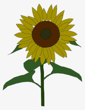 Outline, Yellow, Drawing, Plants, Sun, Flower, Flowers - Clip Art Sunflower