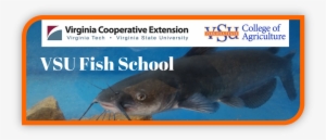Vsu Fish School Image - Virginia State University