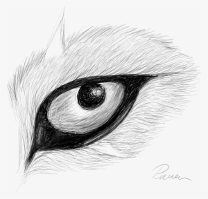 Drawing Eyes - Raven Eye Drawing
