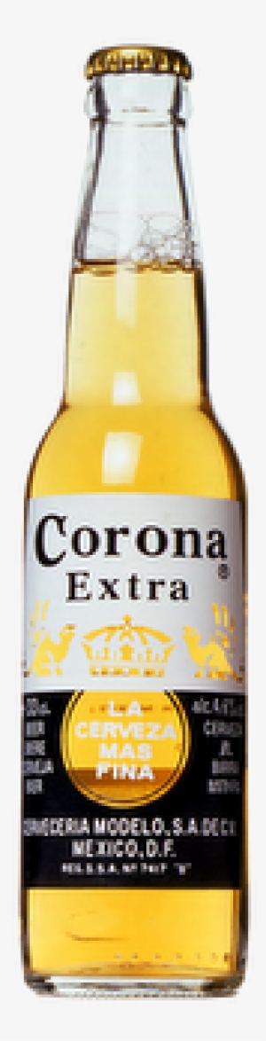 Extra Beer Cl Buy - Corona Extra