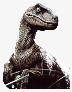 Velociraptor Png File - Raptor With A Hat