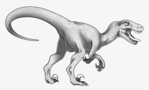 velociraptor premade by maytitan on deviantart image - velociraptor
