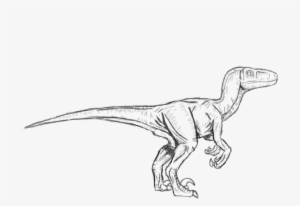 Surprising - Jurassic Park Velociraptor Sketch