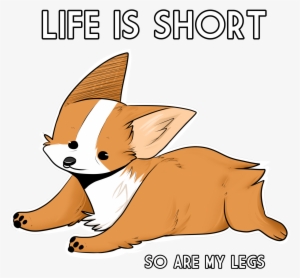Life Is Short - Dog Catches Something