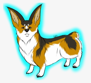 Tri-colored Corgi - Dorgi