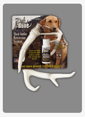 Product Dog Bone Shed Antler Training System - Dog Bone Shed Dummy Retrieving Antler