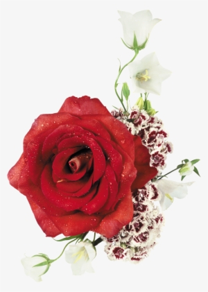 Ramos De Rosas En Png
