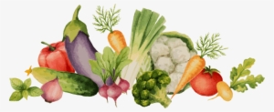 Green Veggies - Diet Food
