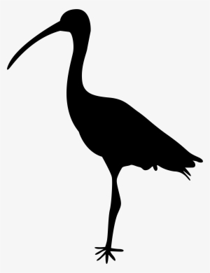 Crane Bird Silhouette At Getdrawings