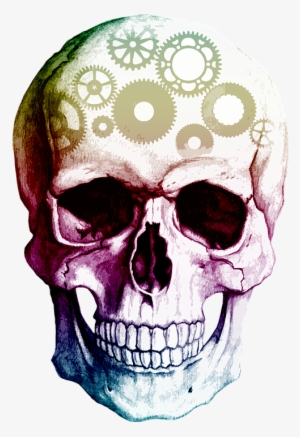 Skull-1529065 960 - Plain Skulls