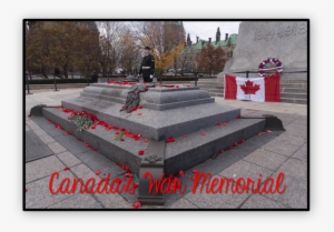 Canada's War Memorial - Tree