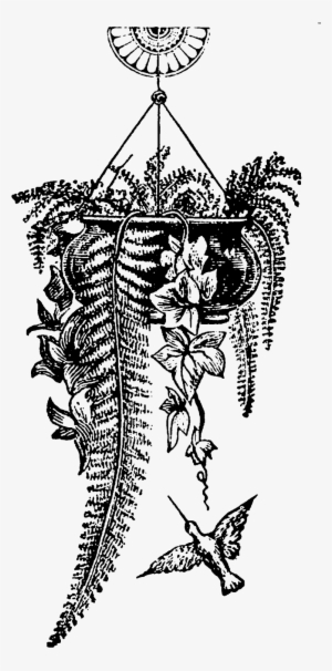 Hanging Plant Garden Images - Illustration