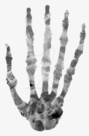 Finger Printed Skeleton By - Hand Bone Transparent