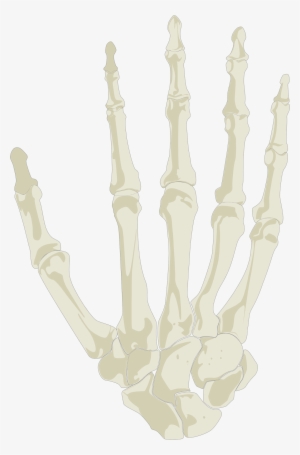 This Free Icons Png Design Of Hand Skeleton