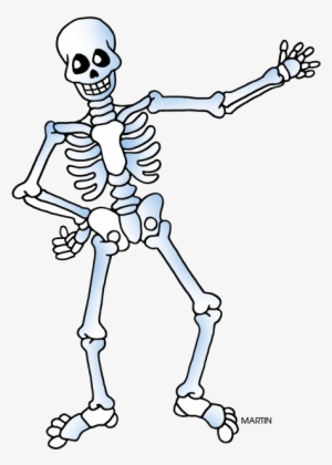 Skeleton Png - Skeleton Clipart