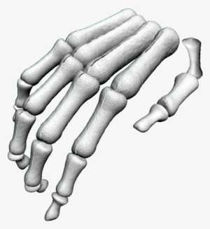 Skeleton Arm Png - Hand