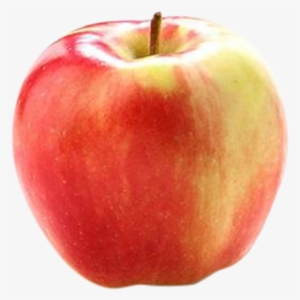 Ambrosia Apple - แอ ป เปิ้ ล แดง