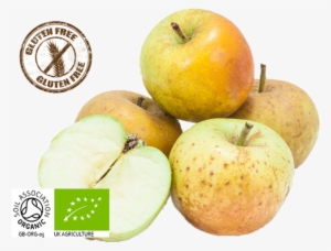 All Apples Are Organic Class Ii Origin - St Dalfour Mirabelle Plum Spread 284g