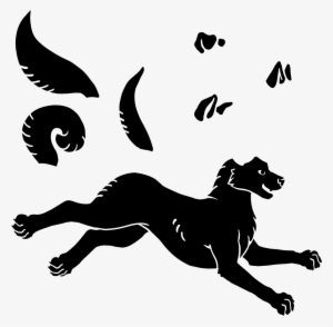 $500 - Dog