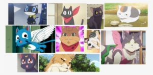 Top 10 Anime Cats - Anime