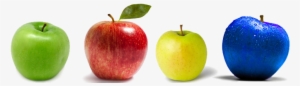Compare Insurance Applese To Apples - Manzana Royal Gala (20 Kg)