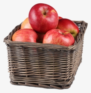 Tube Fruit - Apple Basket Png
