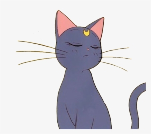 Anime Cat Sailormoon Aesthetic Tumblr Sticker Freetoedi - Anime Cat  Aesthetic Transparent PNG - 1294x1024 - Free Download on NicePNG