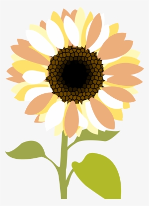 Transparent Sunflowers Clipart Png Imageu200b - Clipart Sunflower In Png