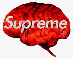 Brain Supreme Bape Logo Hypebeast Memezasf - Fake Supreme Hoodie Logo