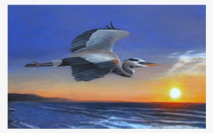 Charles Wallis - Great Blue Heron