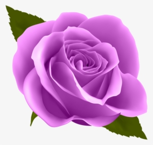 Clip Art Blue Rose