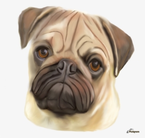 Pug In Canvas Print With Floating Frame - Floating Frame
