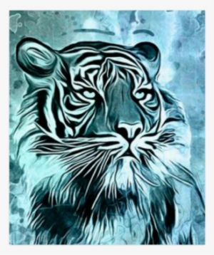 Watercolor Tiger Poster 20"x24"