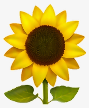 Flower Sun Freeedit Iphone - Emoji Sunflower