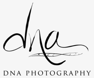 Dna Strand White Transparent - Dna Photography Logo