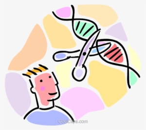 Student Observing A Dna Strand Royalty Free Vector - Genetic Engineering Png