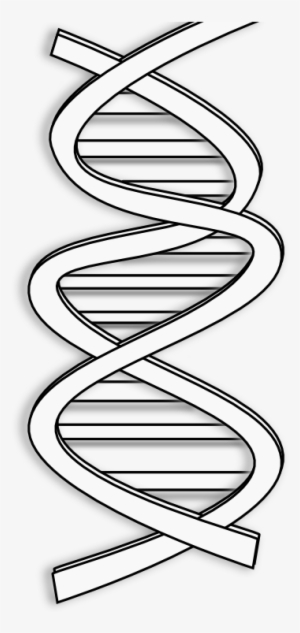 Dna Transparent Black And White - Clip Art