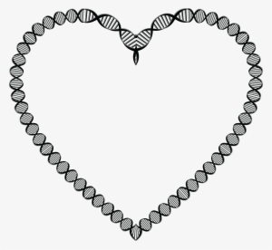 Free Clipart Of A Dna Double Helix Strand Heart Frame - Double Helix Heart Dna