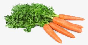 Carrots - Diet
